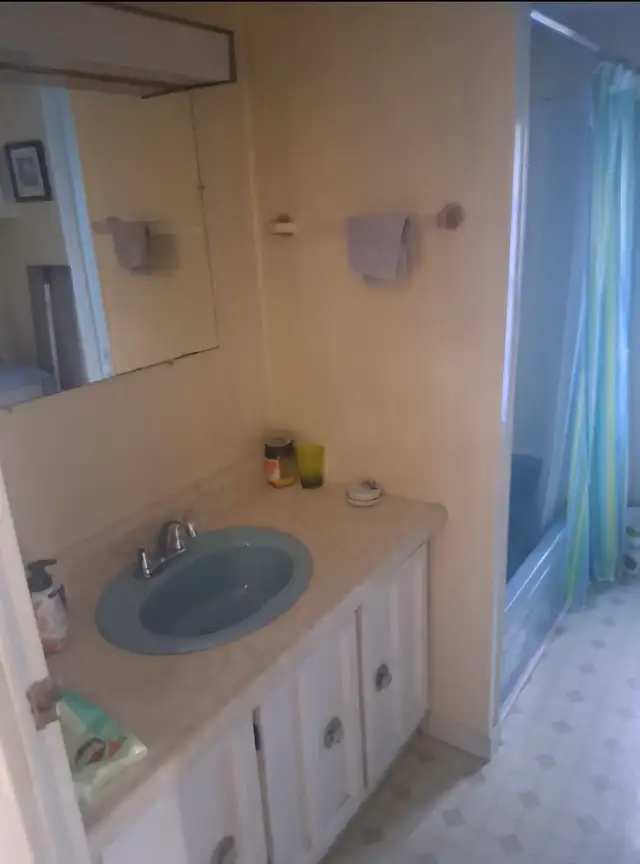 Mobile Home for Sale - Photo 5