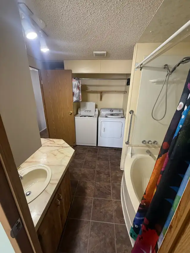 #11 Chokecherry Lane - Photo 9