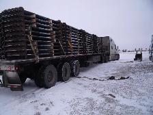 Spring Screw Pile Sale going on Now - Photo 6