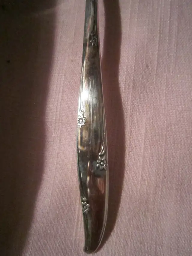 #94B  SILVER FLOWER silverware set for 8