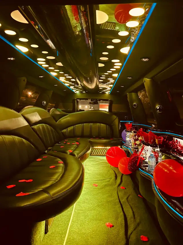 NIAGARA LIMO-cashing wineries concert club limousine airport - Photo 2