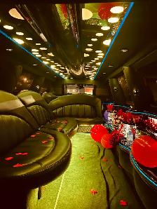 NIAGARA LIMO-cashing wineries concert club limousine airport - Photo 2