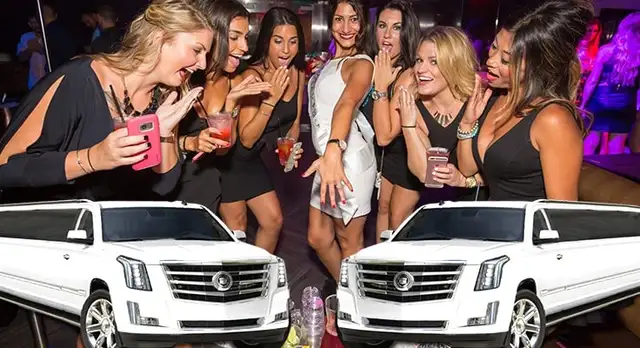 NIAGARA LIMO-cashing wineries concert club limousine airport - Photo 4