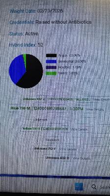2024 Hfr & her calf - Photo 4