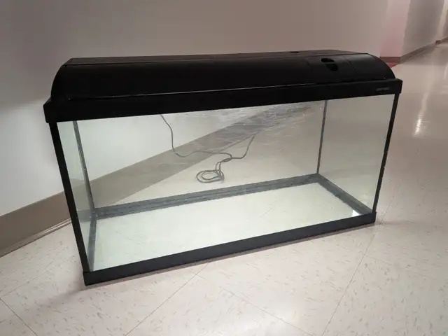 Aquarium 25 gallons avec éclairage