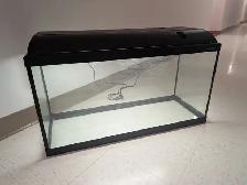 Aquarium 25 gallons avec éclairage