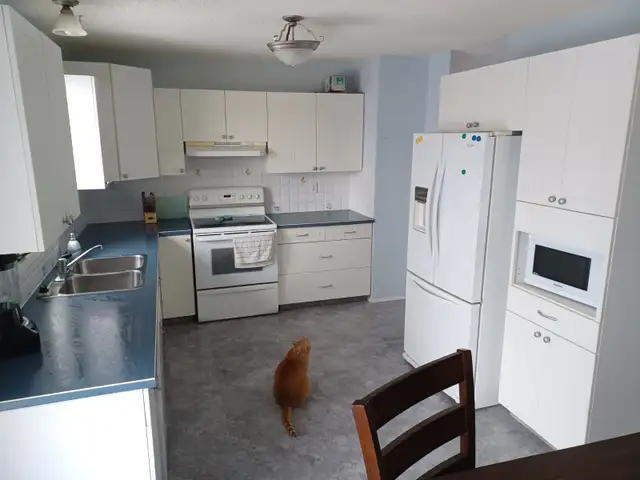 Room for rent in house close to U of L - Photo 6