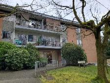 1 Bedroom Apt Available April 1st. Near Edmonds Skytrain Station - Photo 6