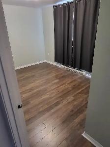 Roommate Wanted - Photo 2