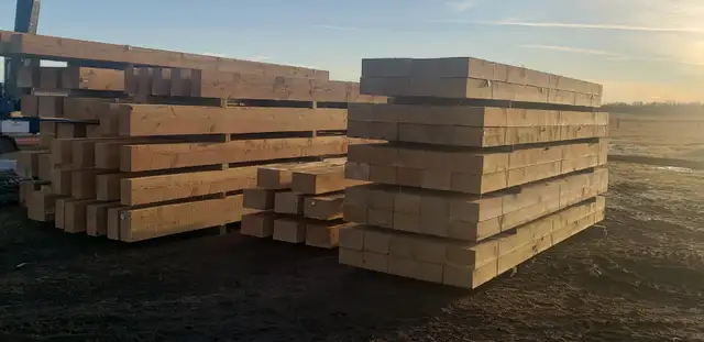 Timber Sales - Photo 5