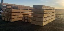 Timber Sales - Photo 5