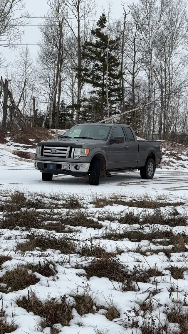 looking for unwanted pallets