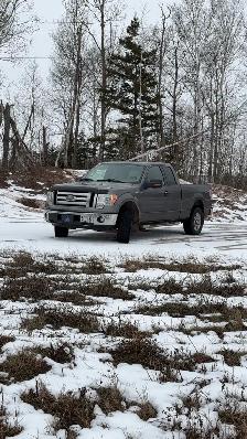 looking for unwanted pallets