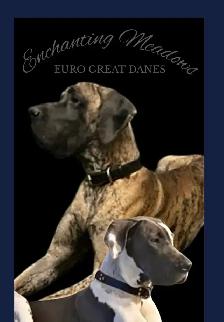 Euro Great Danes