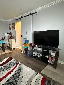 TWO BEDROOM APARTMENT IN OTTAWA CENTRAL AVAILABLE IMMEDIATELY