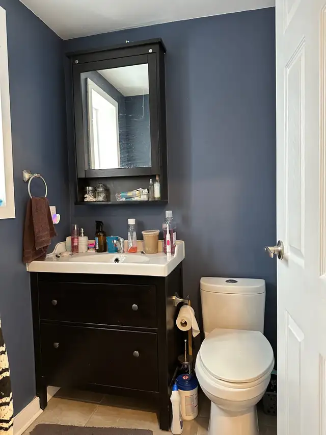 TWO BEDROOM APARTMENT IN OTTAWA CENTRAL AVAILABLE IMMEDIATELY - Photo 9