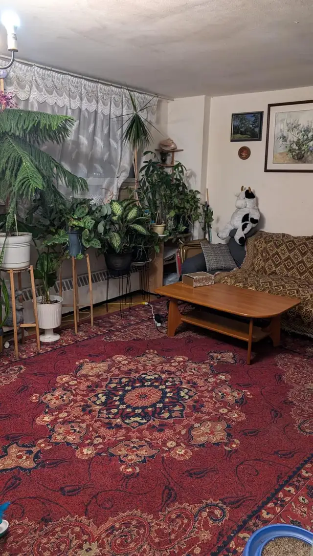 Cozy and bright room for rent in Scarborough - Photo 5