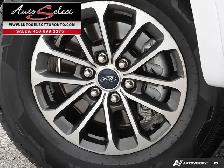 2019 Ford F-150 XLT FX4 Off Road - 4x4 - Apple Carplay - Clea... - Photo 6