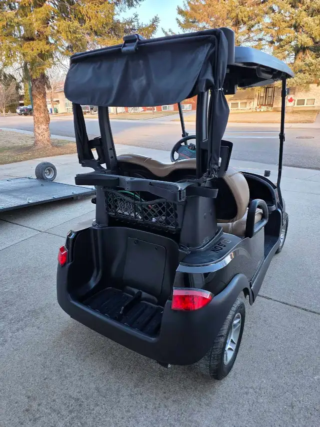 2022 Lithium Golf Cart - Photo 2