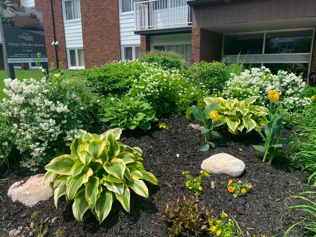 Cession de bail / Lease transfer (Gatineau, Cites-des-Jeunes) - Photo 2