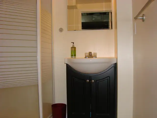 All Inclusive Large Private Bedroom near Carleton & Algonquin - Photo 7