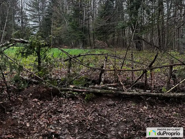 $150,000 - Starting at - Residential Lot in St-Emile-De-Suffolk - Photo 4