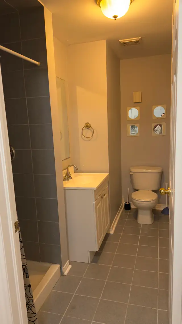 BRIGHT, INDEPENDENT BASEMENT APARTMENT - Photo 8