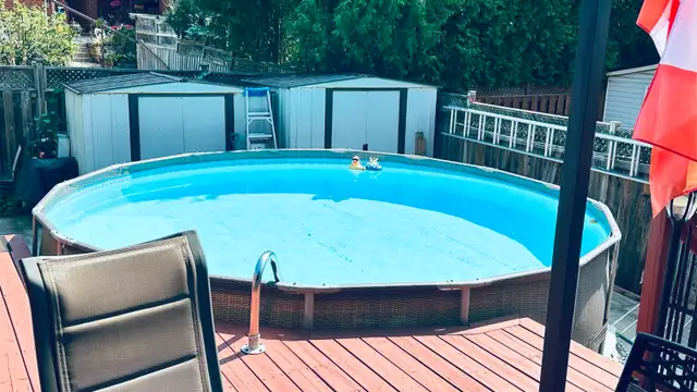 BRIGHT, INDEPENDENT BASEMENT APARTMENT - Photo 9