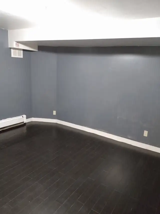 TWO-BEDROOM BASEMENT APARTMENT ALL INCLUSIVE - Photo 7