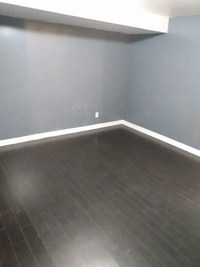 TWO-BEDROOM BASEMENT APARTMENT ALL INCLUSIVE - Photo 10