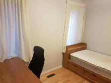 Ground Fl Room for Rent near UTSC/ Centennial Morningside