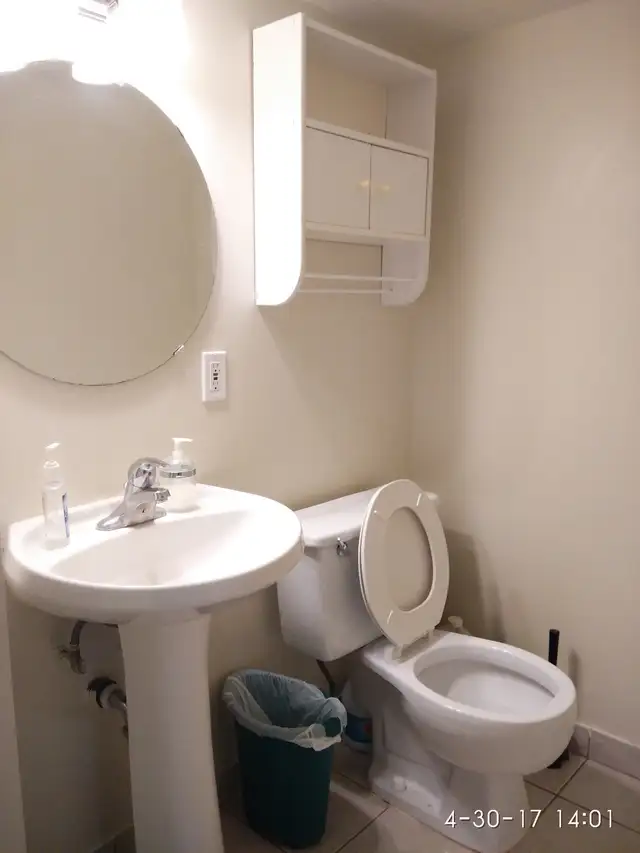 Ground Fl Room for Rent near UTSC/ Centennial Morningside - Photo 6