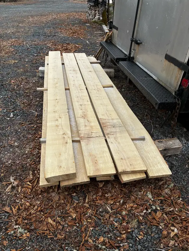 Beech lumber