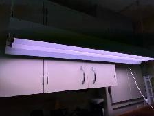Plant grow light