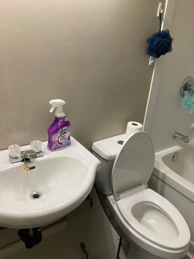 One bedroom apartment for rent Northside Fredericton - Photo 5