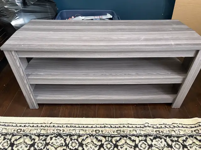 Entertainment unit