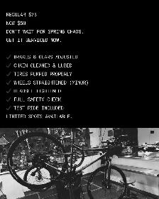 $75 Bicycle Tune-Up!