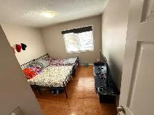 2 sharing & private room for rent in Scarborough