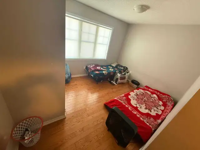 2 sharing & private room for rent in Scarborough - Photo 2
