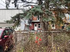 RDC-cave, 4 ch. à coucher, stationnement, cour, garage, Rosemont - Photo 9