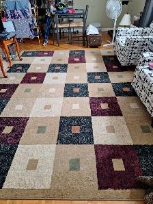 $40 7 Feet '11' x 10 Feet '11' Area Rug MIDLAND