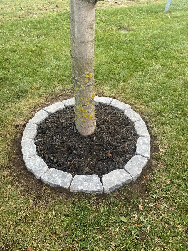 Spring Lawn Clean Ups