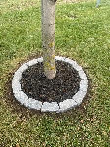 Spring Lawn Clean Ups