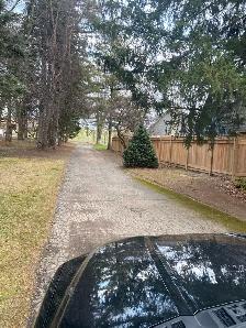 Spring Lawn Clean Ups - Photo 3