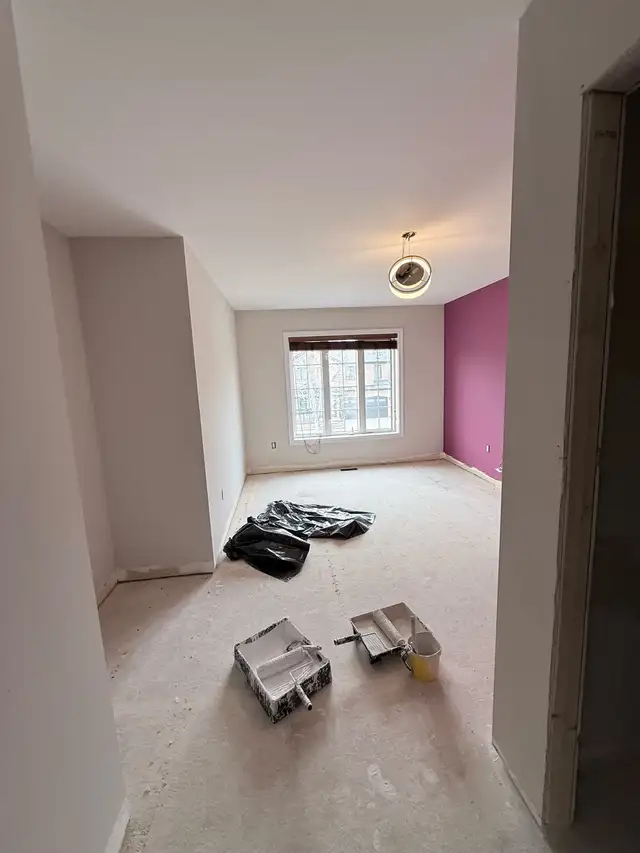 affordable painter - Photo 3