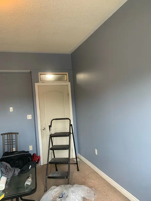 affordable painter - Photo 5