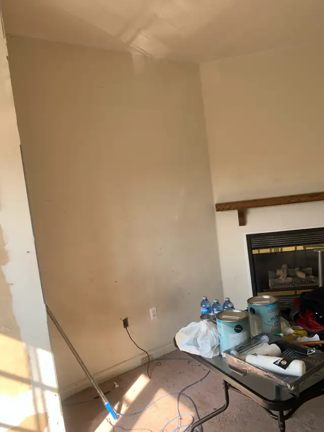 affordable painter - Photo 6