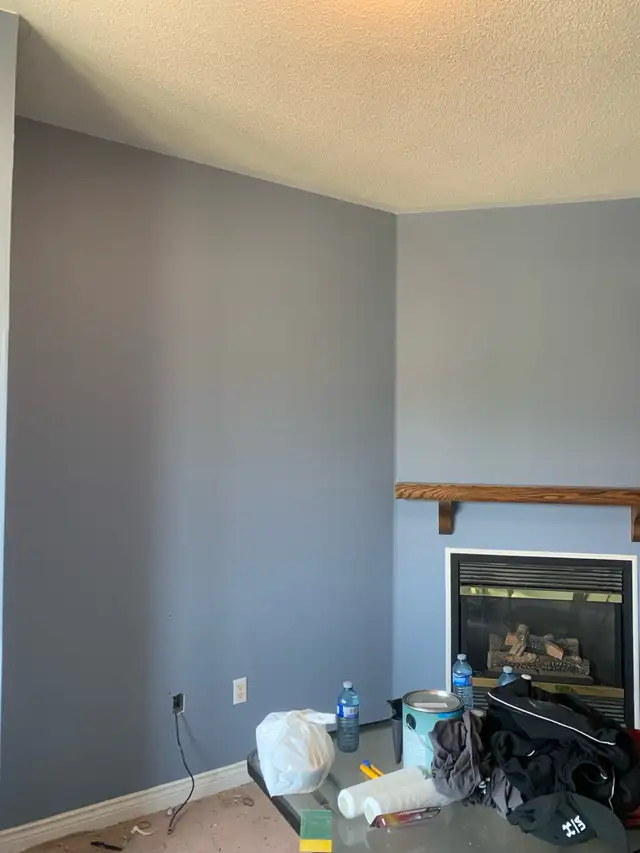 affordable painter - Photo 7