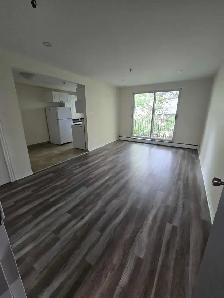 Waterfront 2BR - Reno'd - July/Aug 1st - Heat/Wat/Pkg Included!