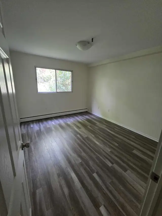 Waterfront 2BR - Reno'd - July/Aug 1st - Heat/Wat/Pkg Included! - Photo 2